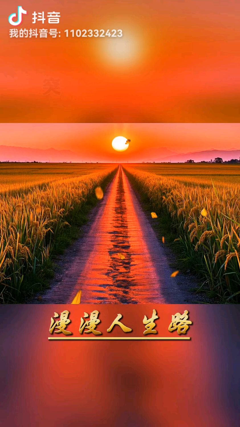 人生壁纸手机版(人生壁纸app手机版)-第4张图片-QuickQ官网 人生壁纸手机版(人生壁纸app手机版)-第4张图片-QuickQ官网