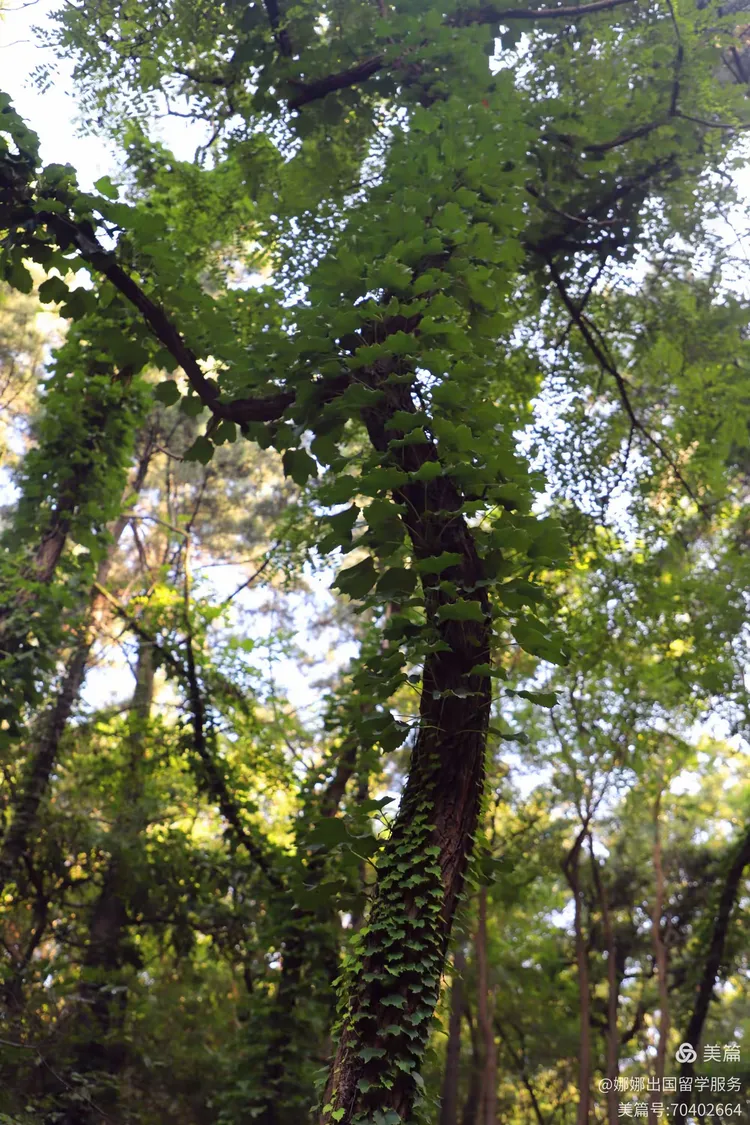 送20元金博棋牌手机版的简单介绍-第4张图片-QuickQ官网