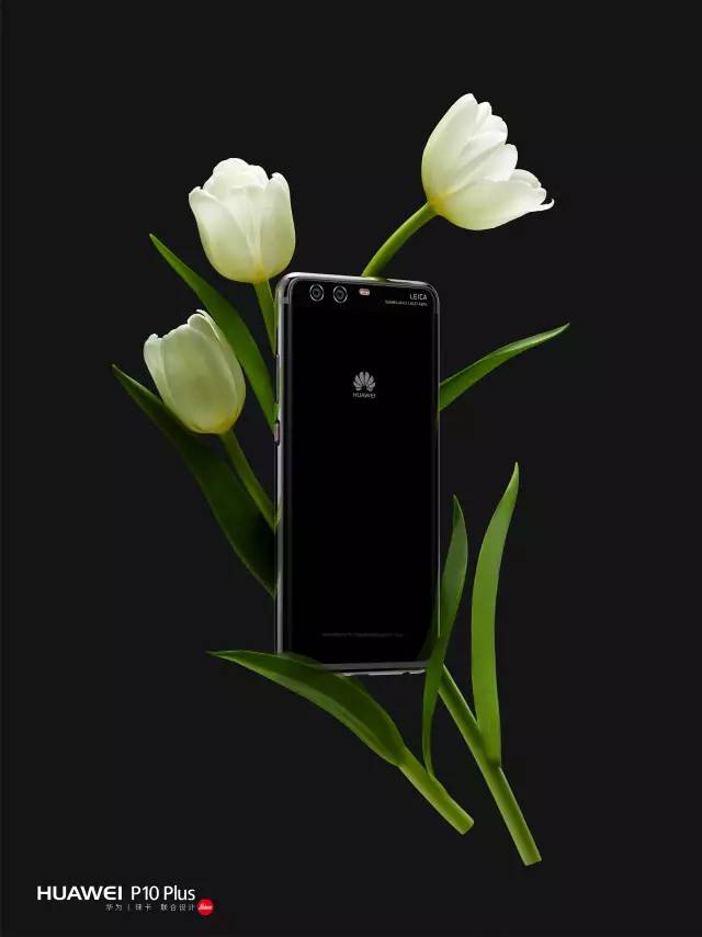 口语无忧手机版(免费的英语口语软件)