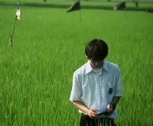 美版苹果v版a版t版(美版苹果分什么v版和s版)-第2张图片-QuickQ官网