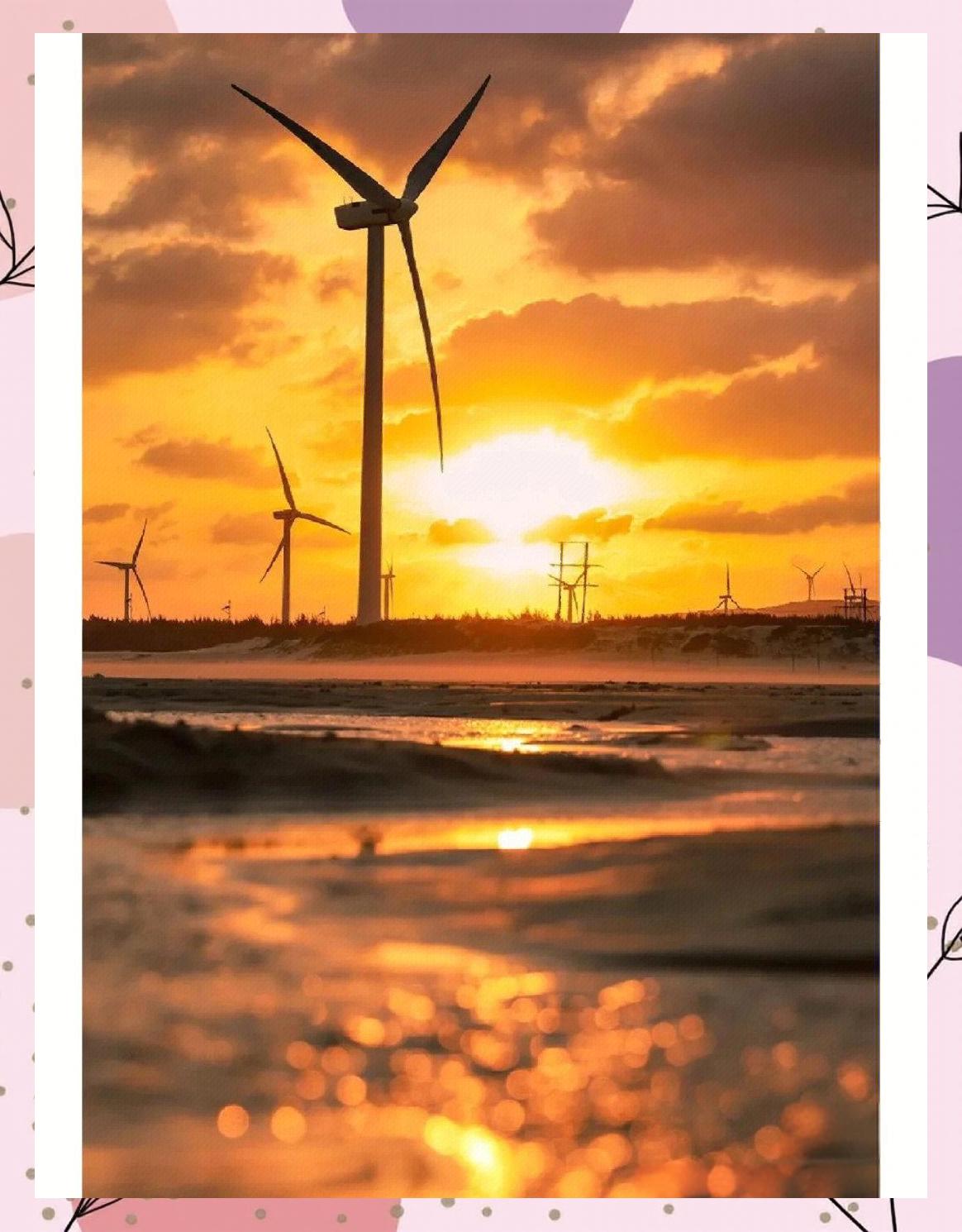 电驴hd手机版怎么搜黄(电驴hd手机版怎么搜黄色视频)-第4张图片-QuickQ官网