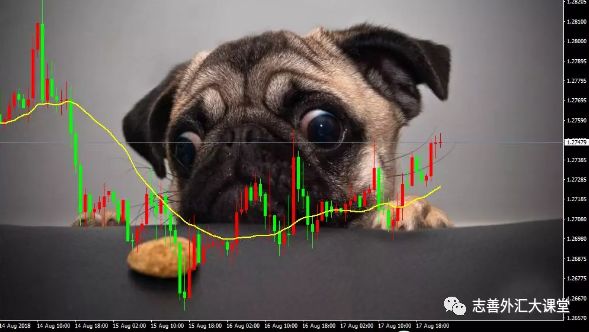 MT4手机版动物(mt4手机版视频教程)-第2张图片-QuickQ官网